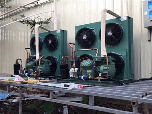 荔湾区冷库工厂直营 健康为首，兼顾专业维修培训服务